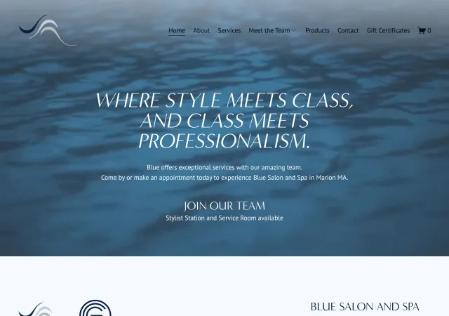 Blue Salon and Spa — old site