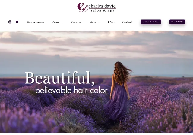 Charles David Salons & Spa — original site