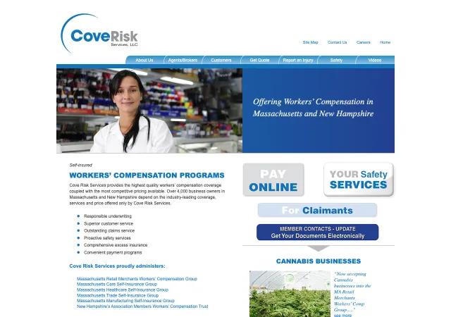 Cove Risk Services — original site