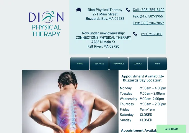 Dion Physical Therapy — original site