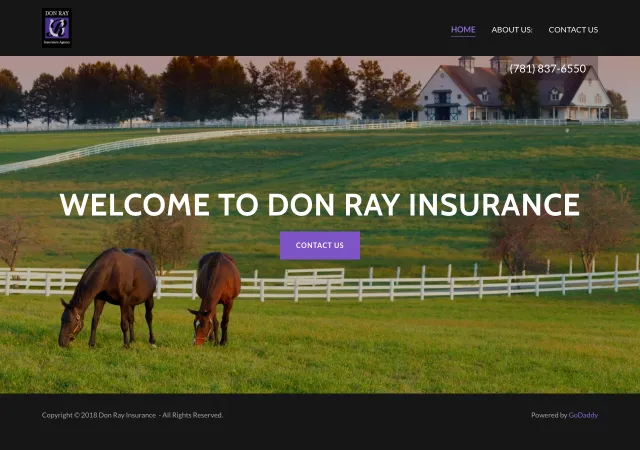 Don Ray Insurance — original site