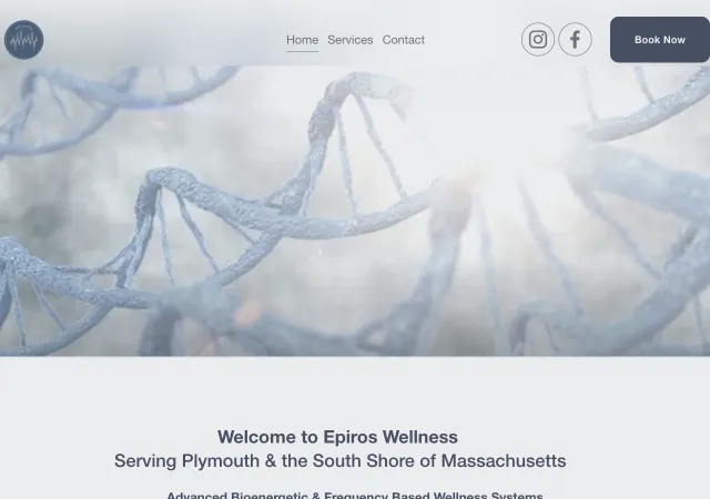 Epiros Wellness — original site