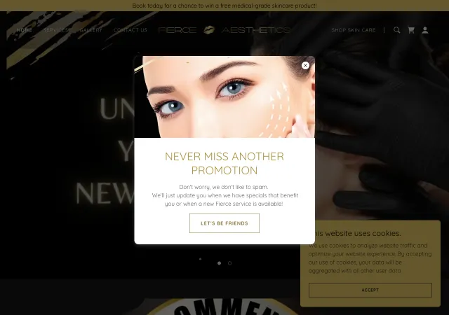Fierce Aesthetics &mdash; original site