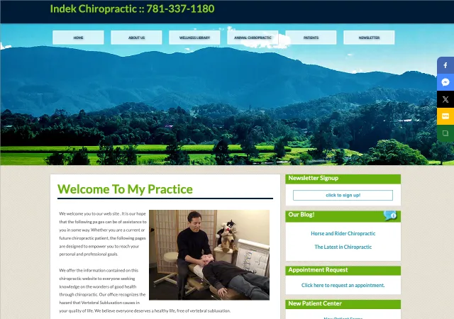 Indek Chiropractic — original site