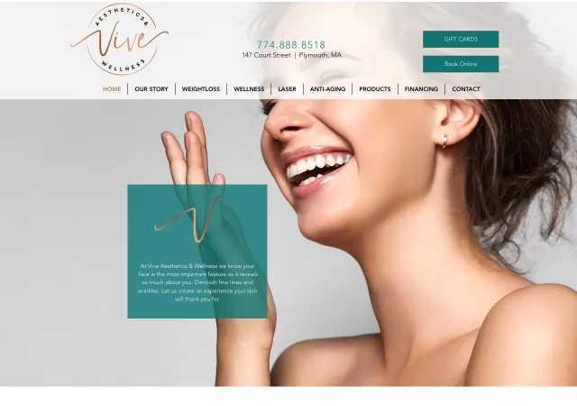 VIVE Aesthetics & Wellness &mdash; original site
