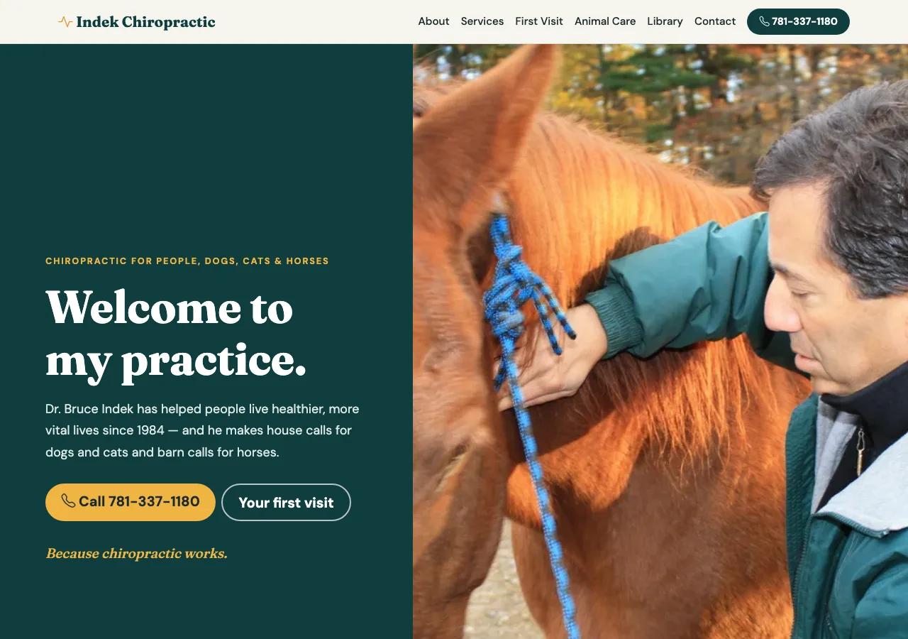 Indek Chiropractic — new site by Wicked Fast Web